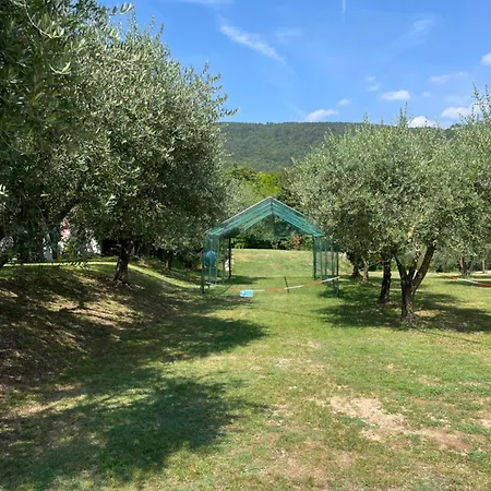 La Zinevrela Tatil Evi