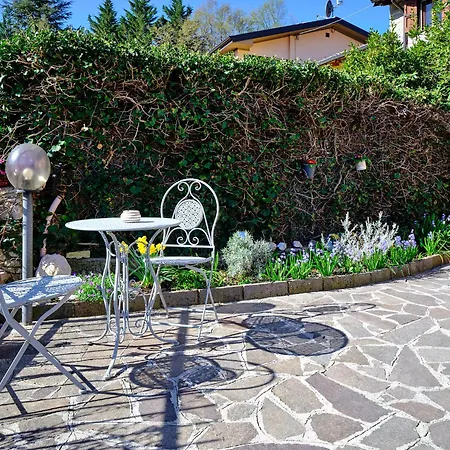 La Zinevrela * 科斯特曼诺